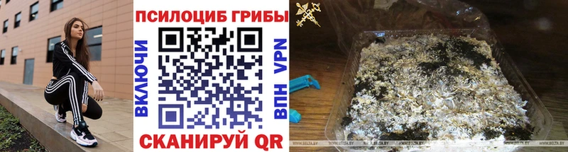 Галлюциногенные грибы мухоморы  купить наркотик  сайты даркнета как зайти  Пушкино 