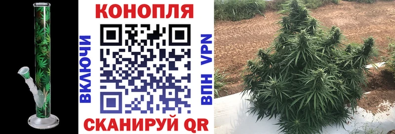 Канабис тримм  цена наркотик  нарко площадка наркотические препараты  Пушкино 